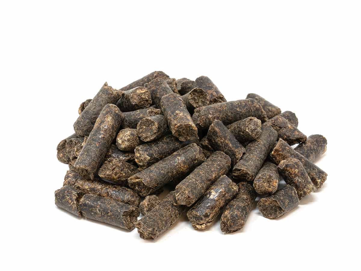 Dried Plain Beet Pulp