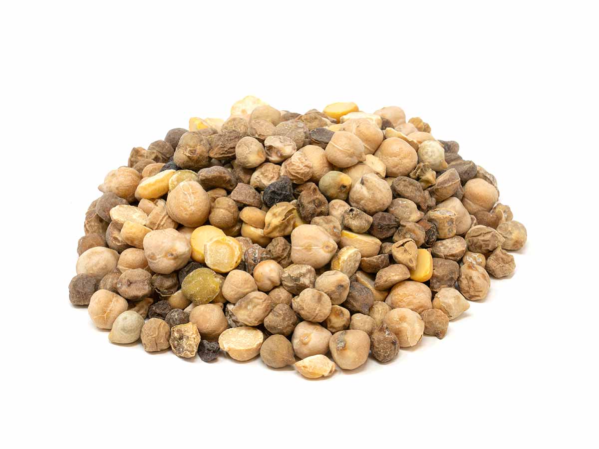 Chickpeas