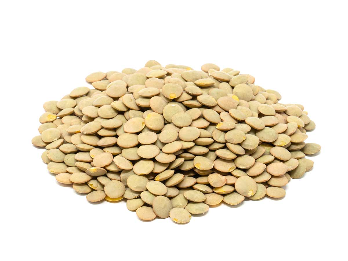 Lentils
