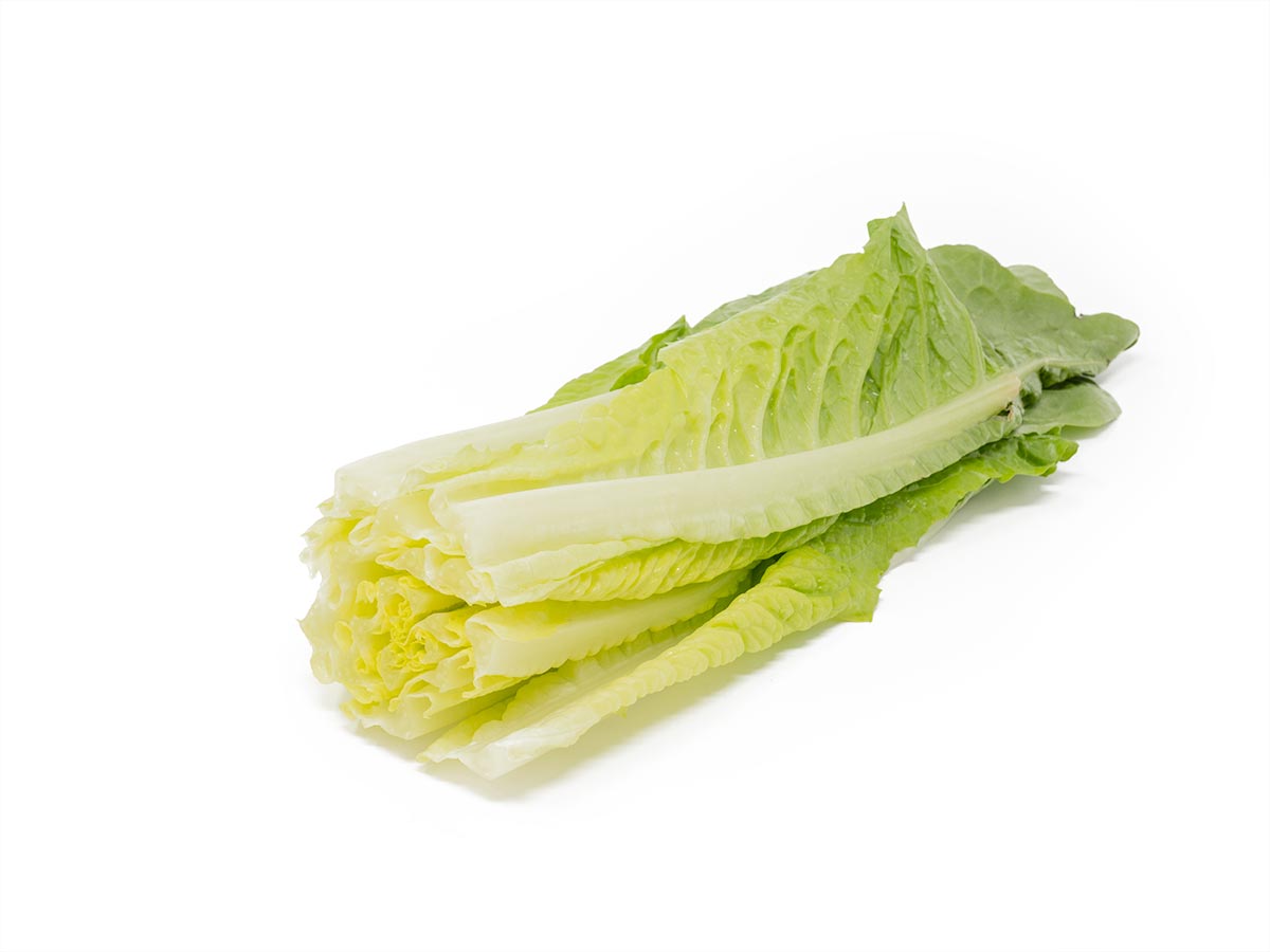 Lettuce