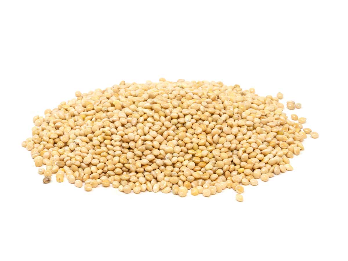 Millet
