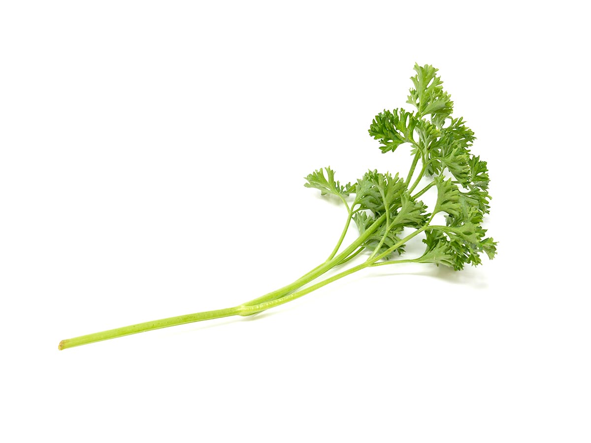 Parsley