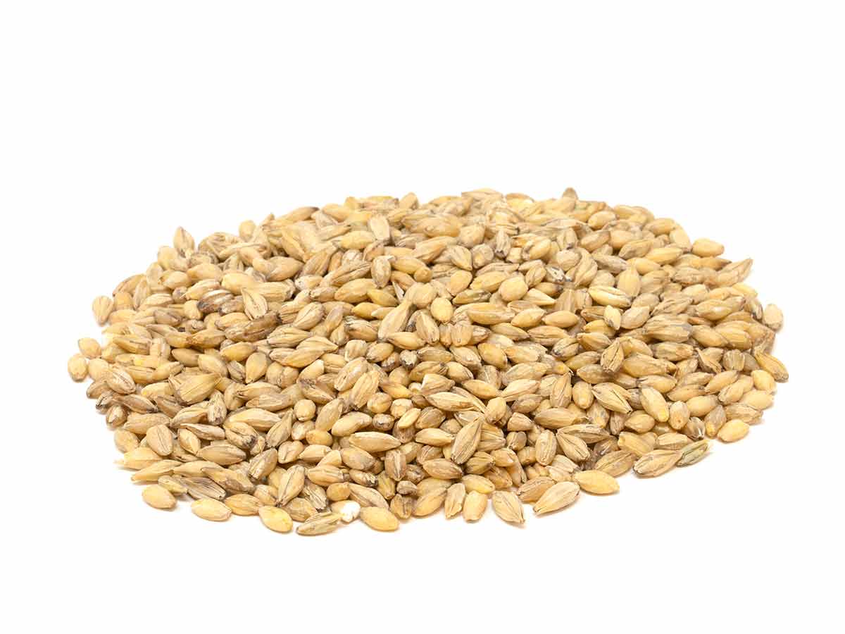 Pearled Barley