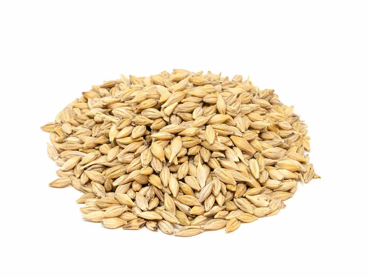 Whole Barley